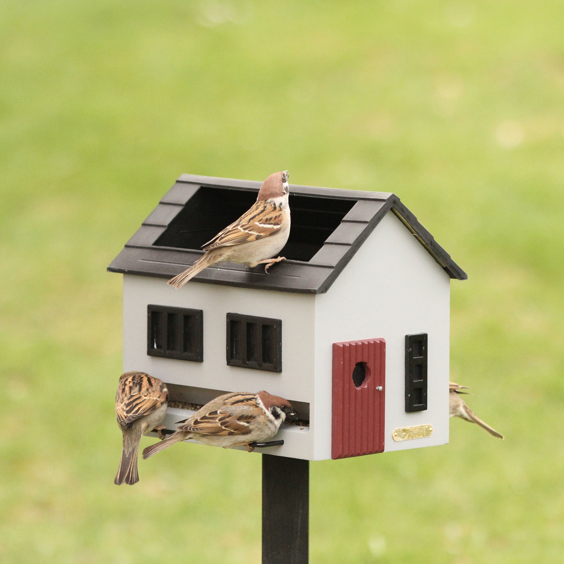 Vogelhuis met Bad Grijs│Wildlife Garden│art. WG356│op houten paal in tuin met vogeltjes