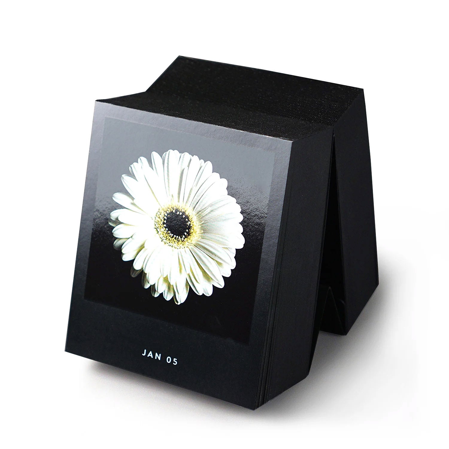 Bureaukalender Flamboyant Flowers│Bloemen│5 januari witte Gerbera