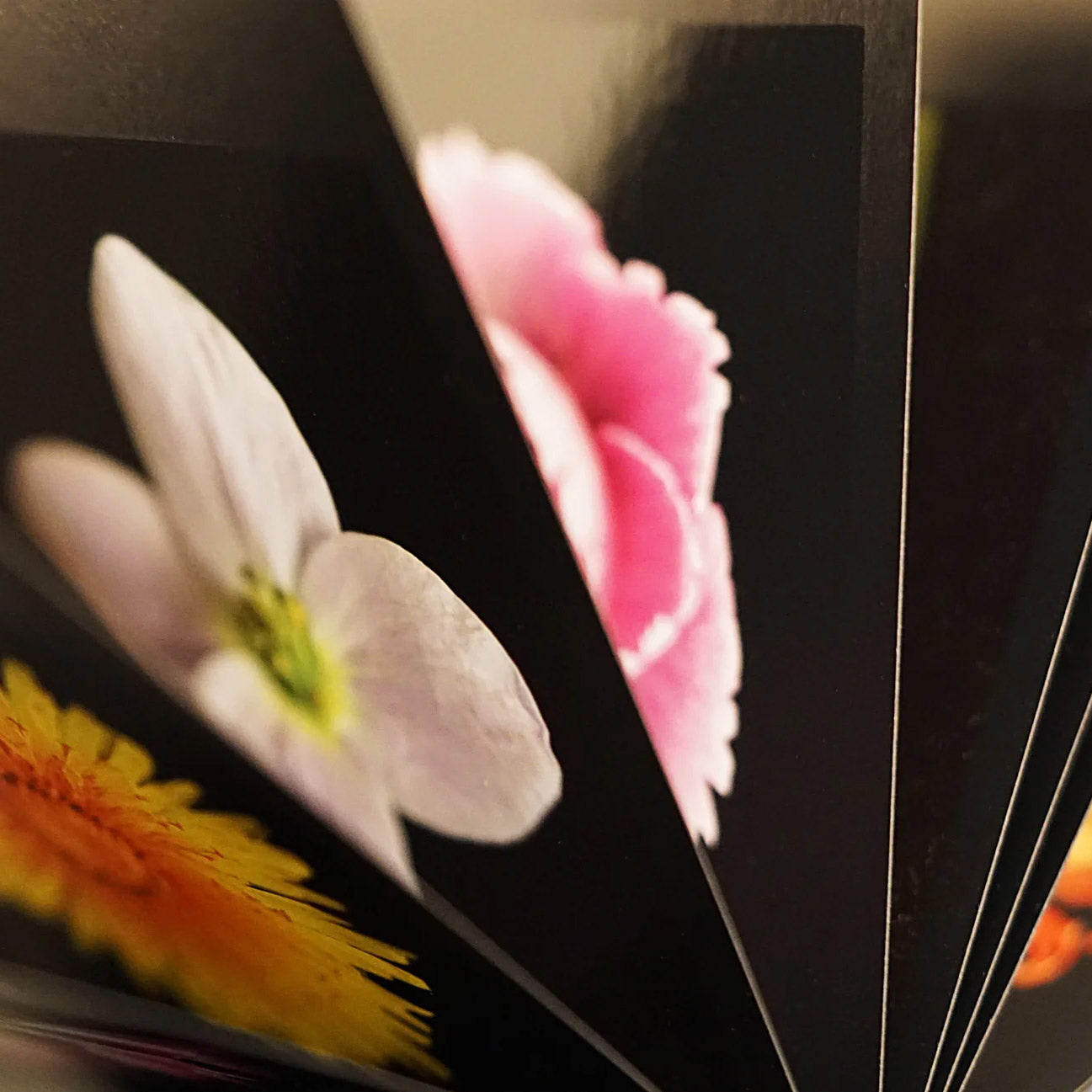 Bureaukalender Flamboyant Flowers│Bloemen│detail diverse pagina's