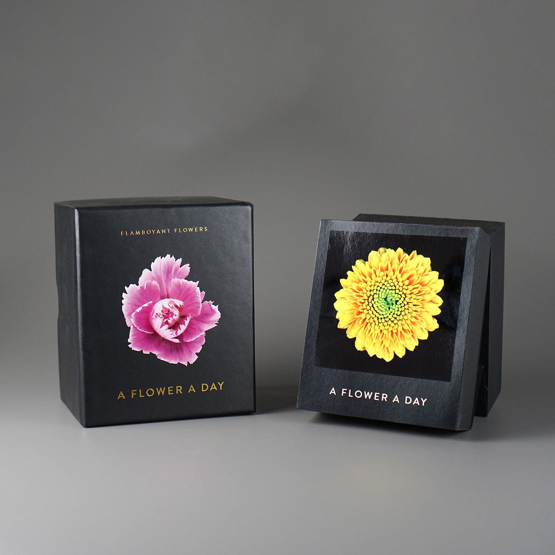 Bureaukalender Flamboyant Flowers│Bloemen│staand naast verpakking met schaduw