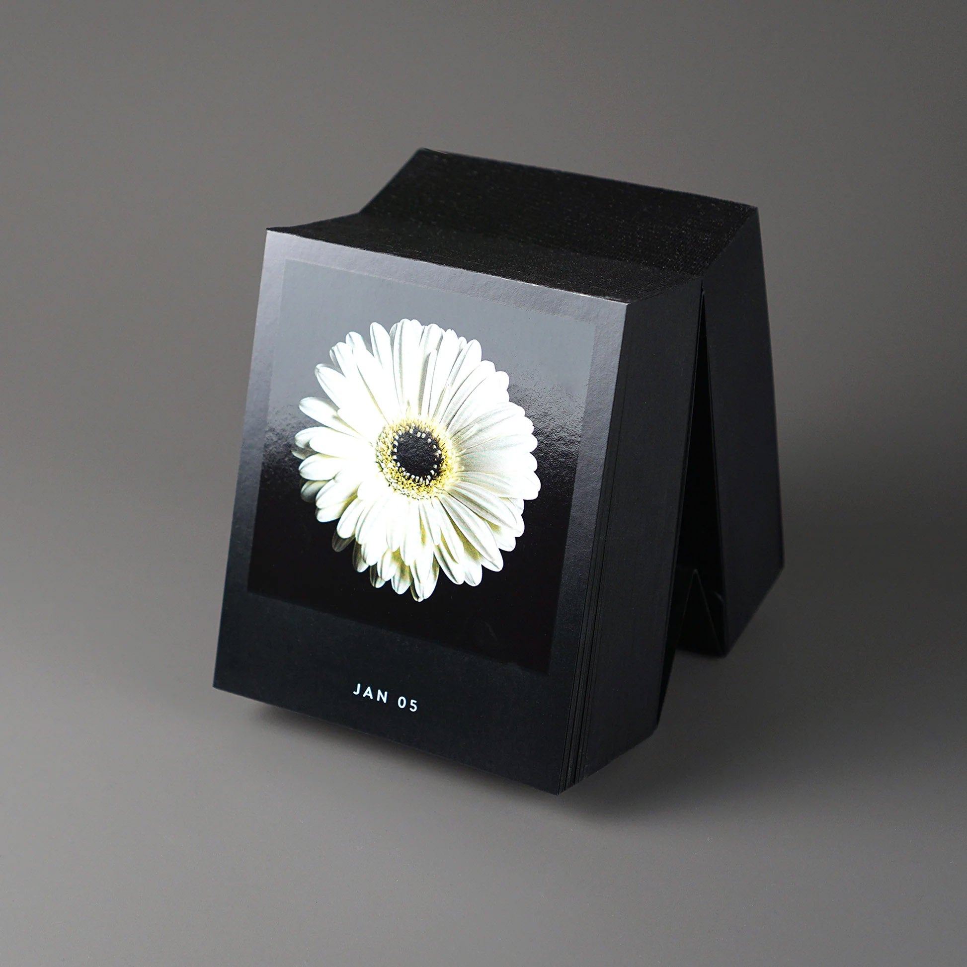 Bureaukalender Flamboyant Flowers│Bloemen│5 januari Gerbera met schaduw