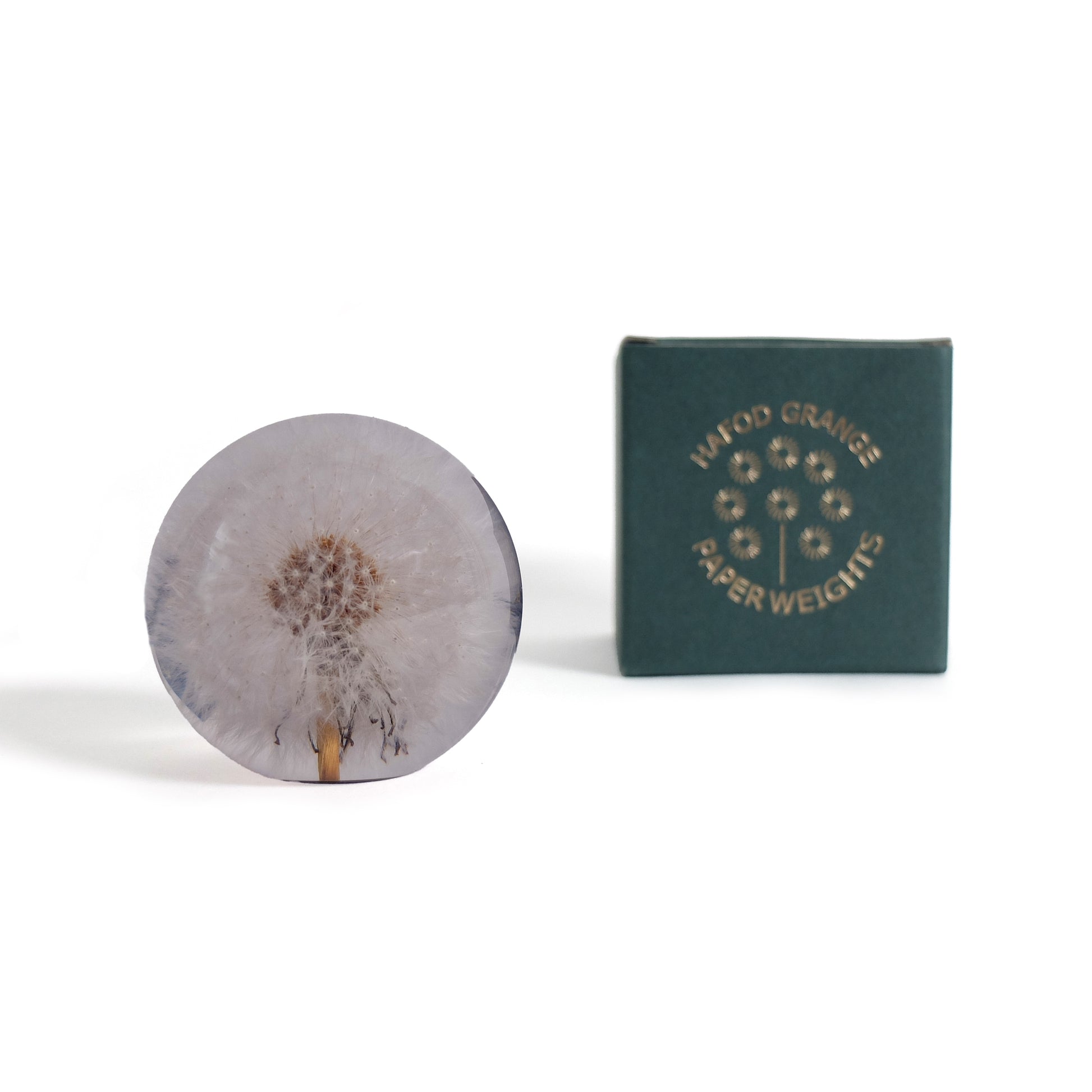 Dandelion Paperweight Small│Presse-papier Hafod Grange│Paardenbloem│voorkant met verpakking