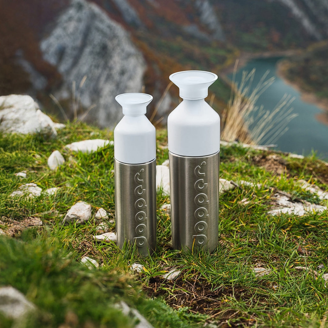 Dopper Insulated large Silver│Thermosfles 580ml│art. 7160│grote en kleine maat in bergen
