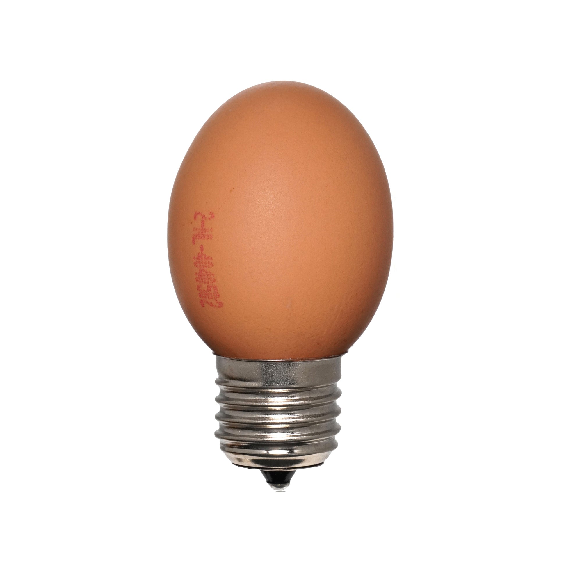 Egglamp Bruin│vooraanzicht met stempel en witte achtergrond