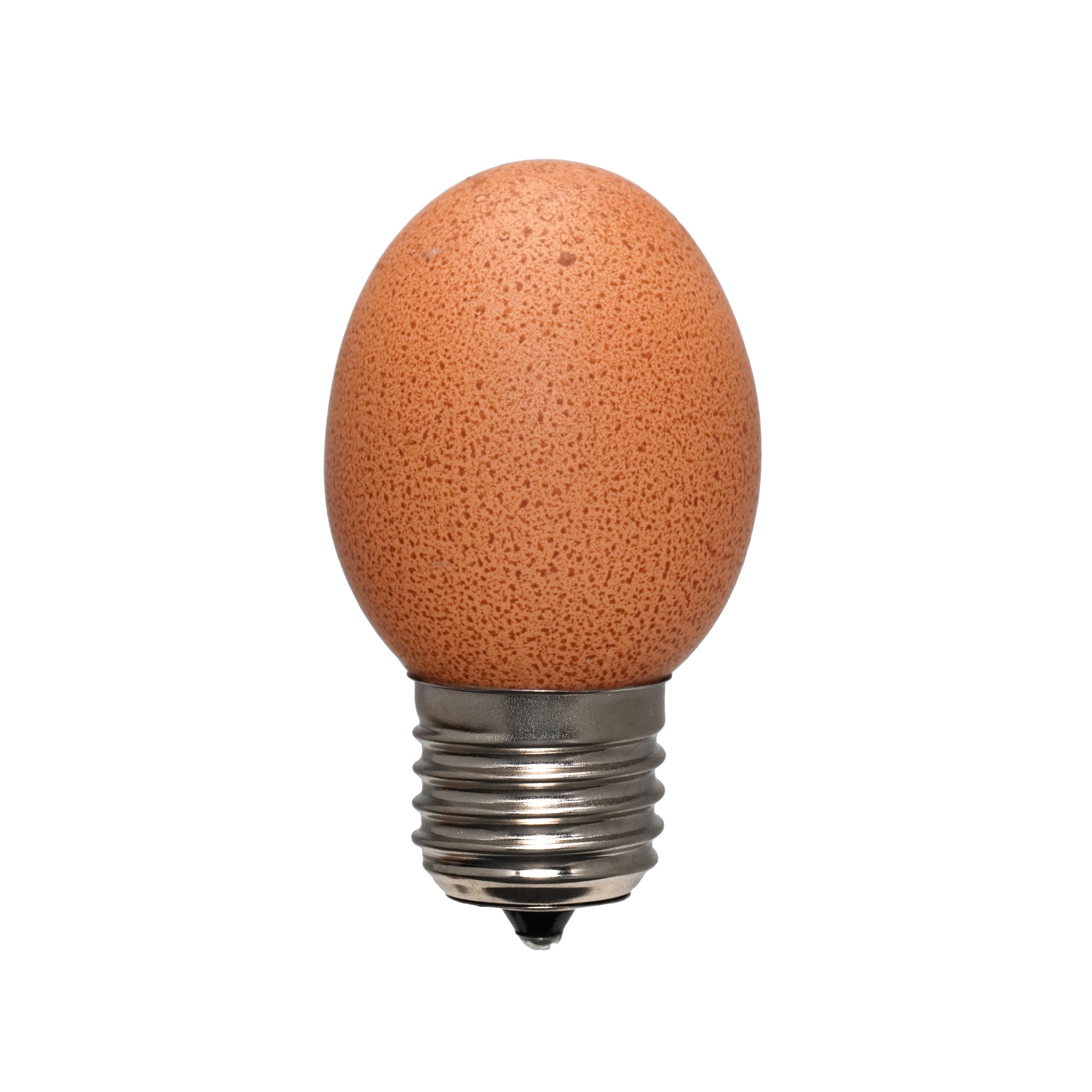 Egglamp Bruin│voorkanet met witte achtergrond