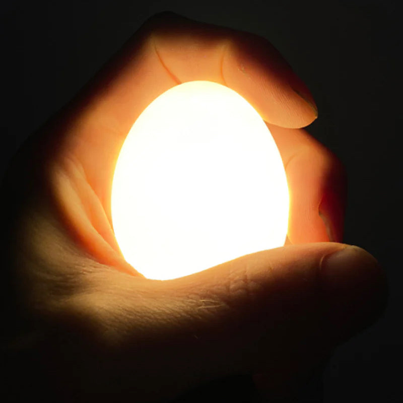 Egglamp Wit│met licht in hand vastgehouden