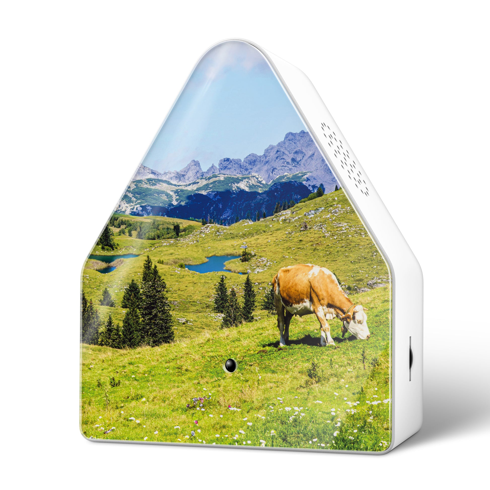 Heidibox Alpenweide│Huisje met Alpengeluiden│art. 11HBX0701001│voorkant schuin met witte achtergrond