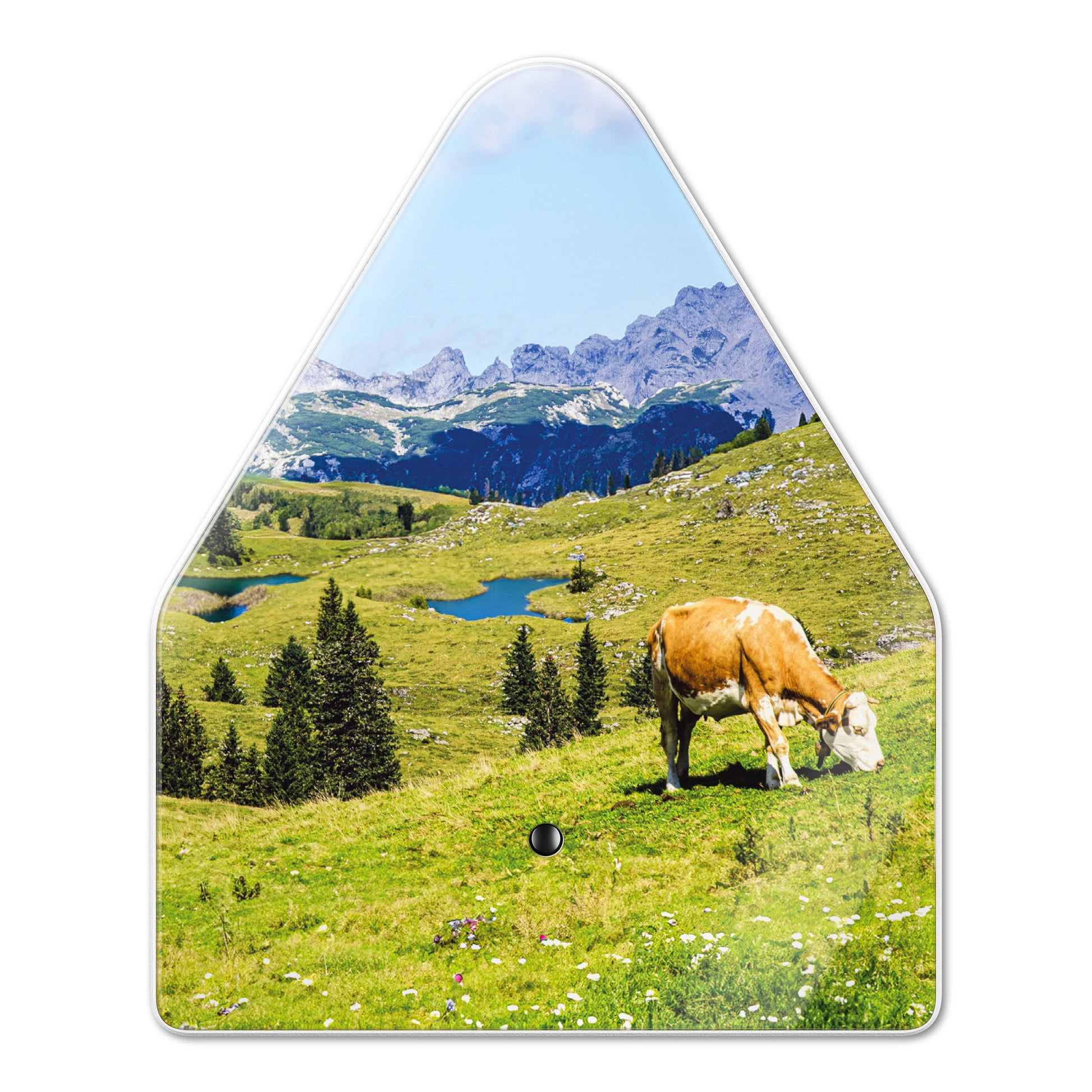 Heidibox Alpenweide│Huisje met Alpengeluiden│art. 11HBX0701001│voorkant