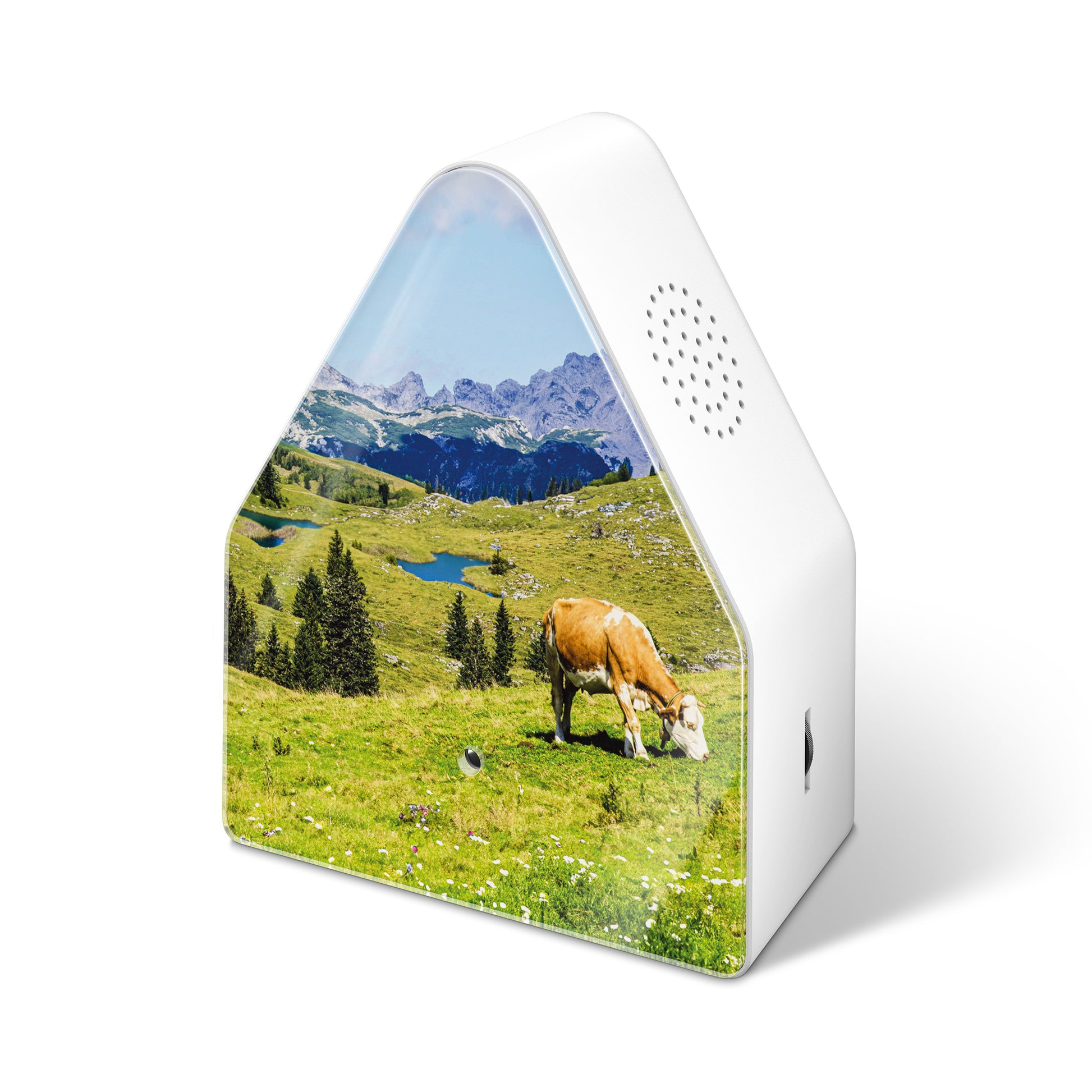 Heidibox Alpenweide│Huisje met Alpengeluiden│art. 11HBX0701001│aanzicht schuin boven met speaker