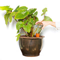 Waterworks Large│art. WWSET-L│House of Thol│hand houdt lazen bol vast in pot met plant