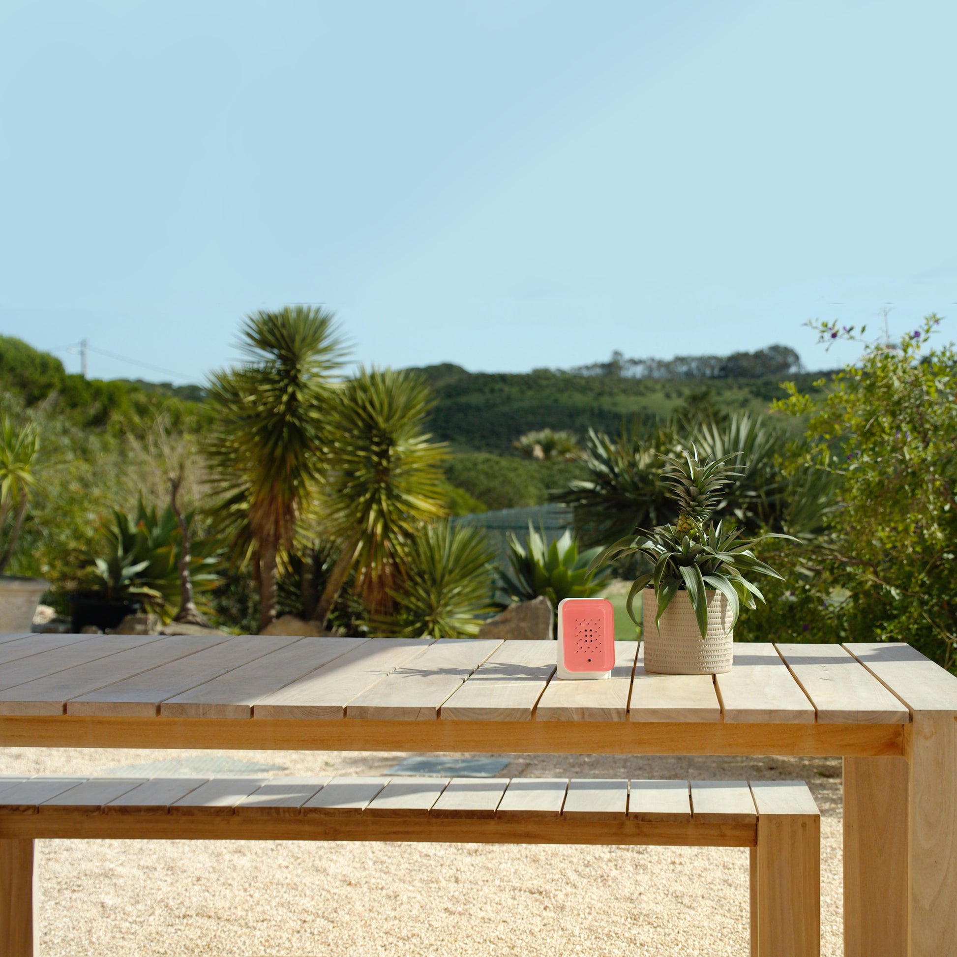 Junglebox Rosy Relaxound│Oerwoudgeluiden│art. 11JGL0101002│op buitentafel naast plant met panorama op achtergrond