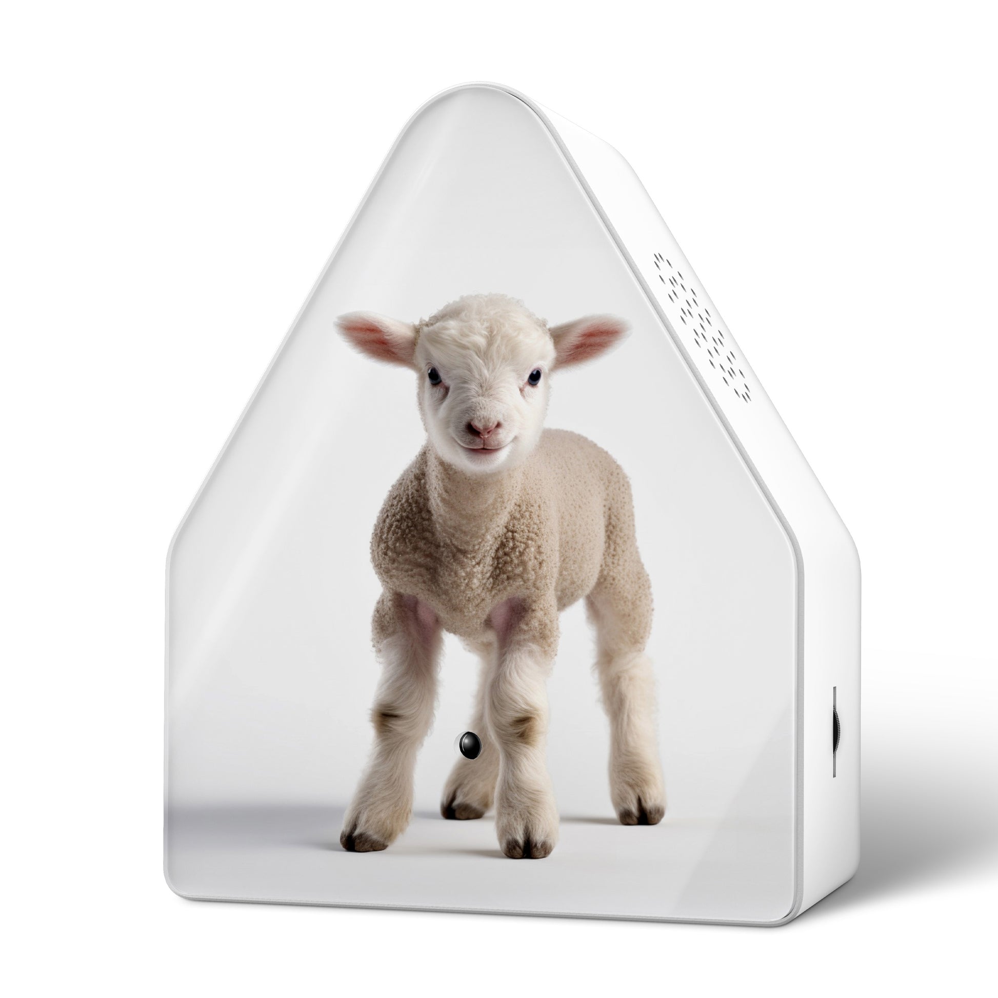 Heidibox Limited Edition Baby Schaap│Relaxound│art. 11HBX0301001│voorkant schuin met witte achtergrond