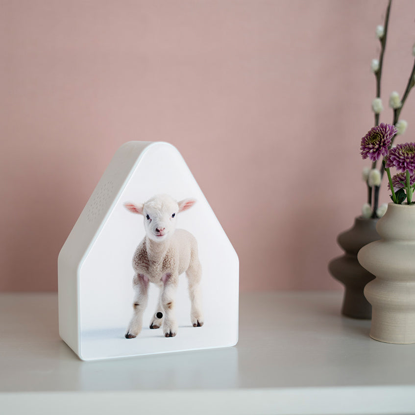 Heidibox Limited Edition Baby Schaap│Relaxound│art. 11HBX0301001│op kastje naast vazen