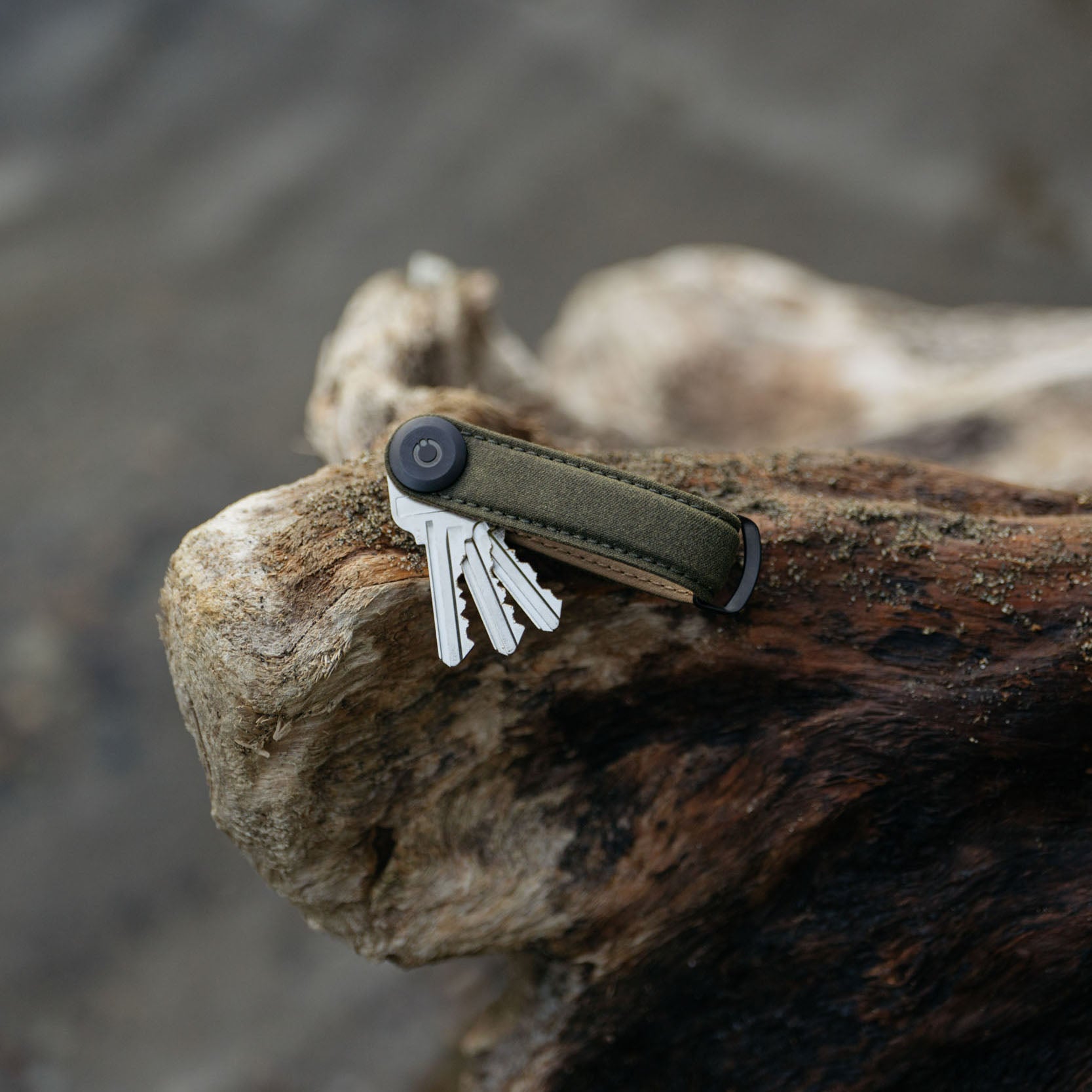 Orbitkey Waxed Canvas Sleutelhouder Khaki Green│art. KWC2-KGN-107│op boomstronk