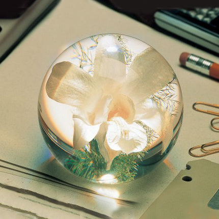White Orchid Paperweight large│Hafod Grange│Presse-Papier witte orchidee│op bureau naast accessoires