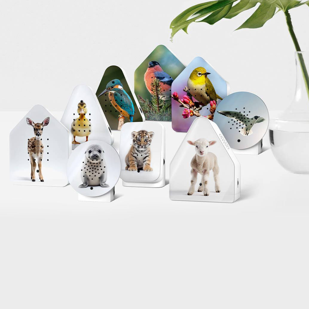 Zwitscherbox Limited Edition Goudvink│Relaxound│art. 11ZBX0301027│alle limited editions spring 2025