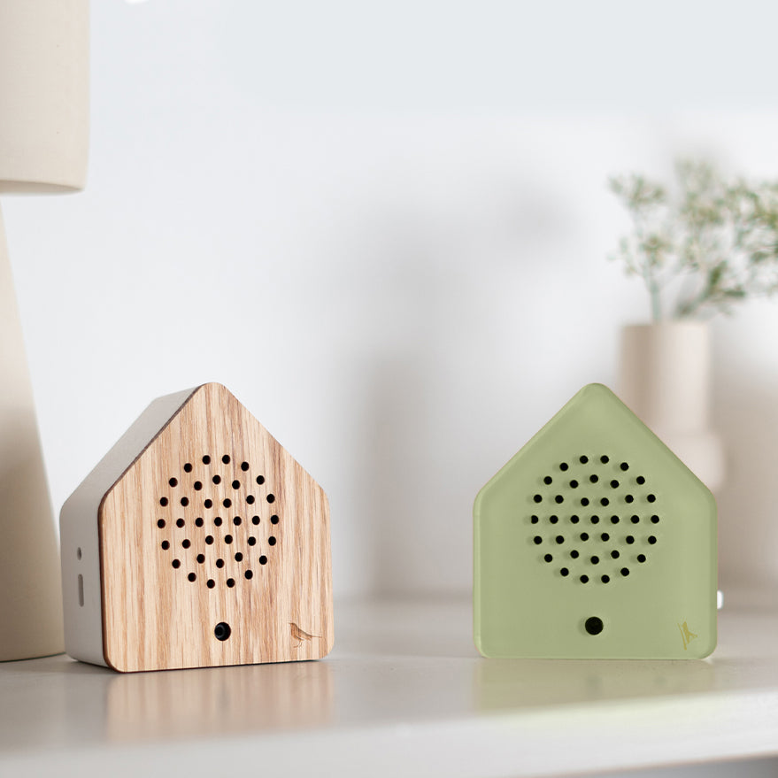 Satellitebox Kekel Classic│Relaxound│art. 11SCR0101001│met merel eiken naast lamp