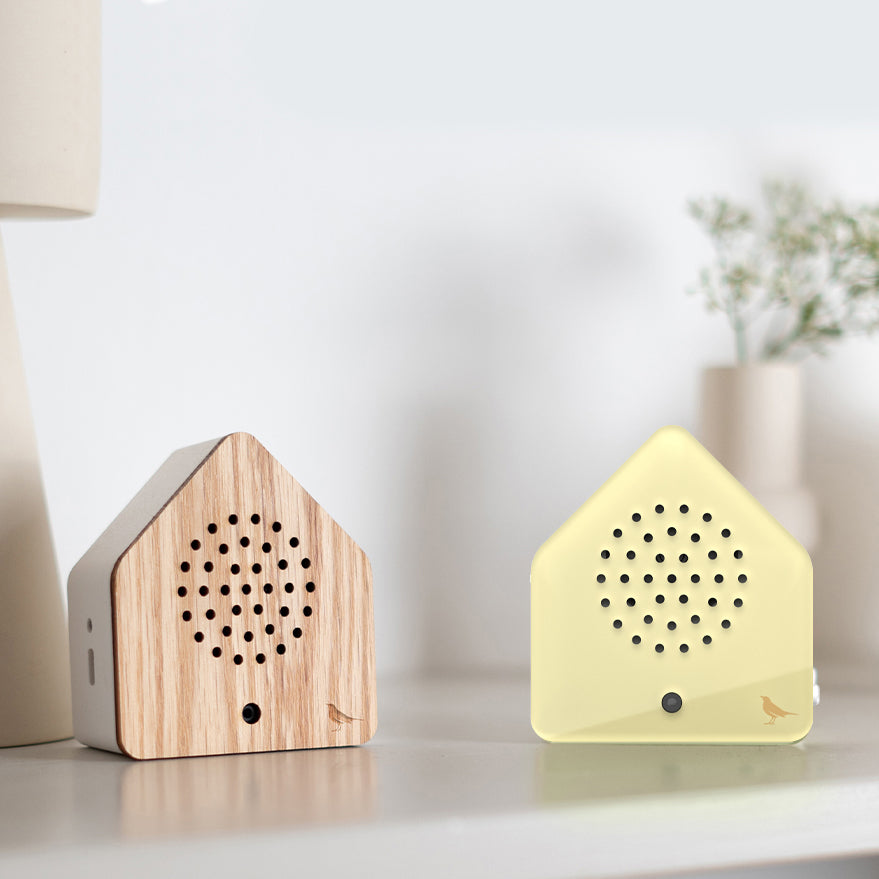 Satellitebox Zanglijster Eiken│Relaxound│art. 11SST0201001│met merel classic naast lamp