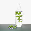 Tap Water Carafe Dune Borosilicaatglas│Vij5│gevuld met water en muntbladeren los naast karaf