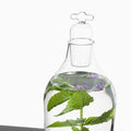 Tap Water Carafe Dune Borosilicaatglas│Vij5│detail dop zijaanzicht