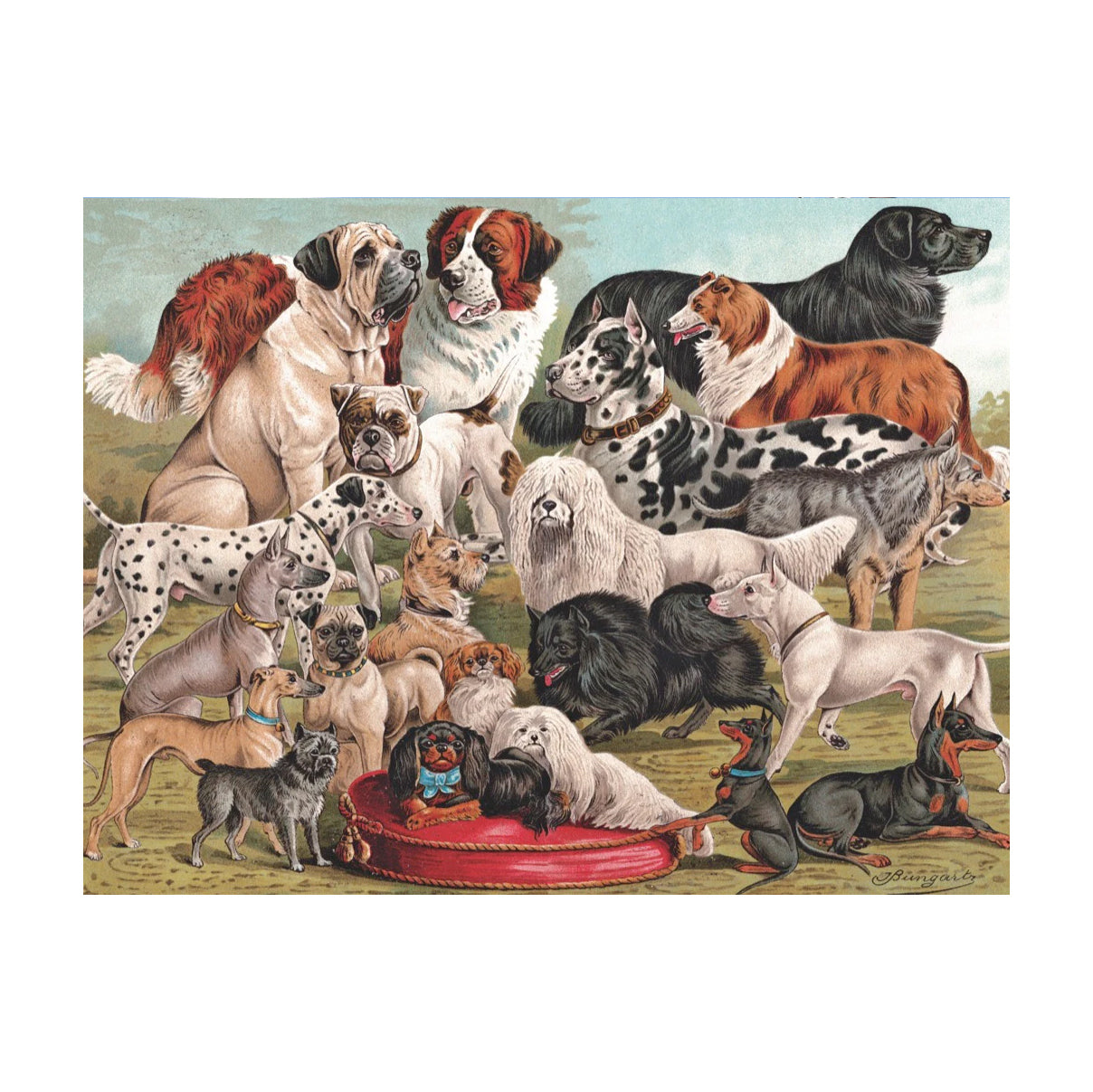 Puzzel Vintage Dog Breeds-Hondenrassen│New York Puzzle Company│art. NPZPD1880│afbeelding poster