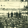 Pigeon Service Nr.34 Christien Meindertsma│Stoffen Duif│foto historie fabriek