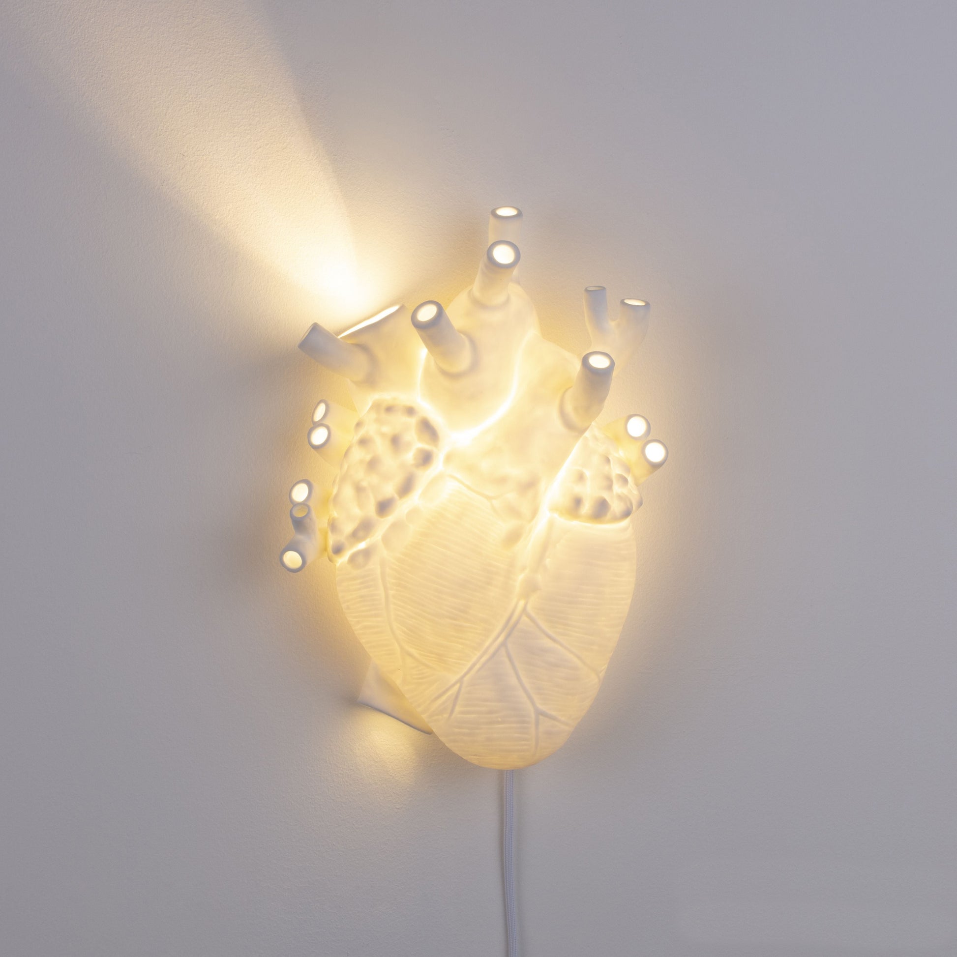 De Heart Lamp van Seletti is een echte eye-catcher in je interieur. Het witte porselein geeft een prachtige warme kleur wanneer de lamp aan is. Deze lamp is vormgegeven in de vorm van een anatomisch menselijk hart, en staat hiermee ook symbool voor romantiek.