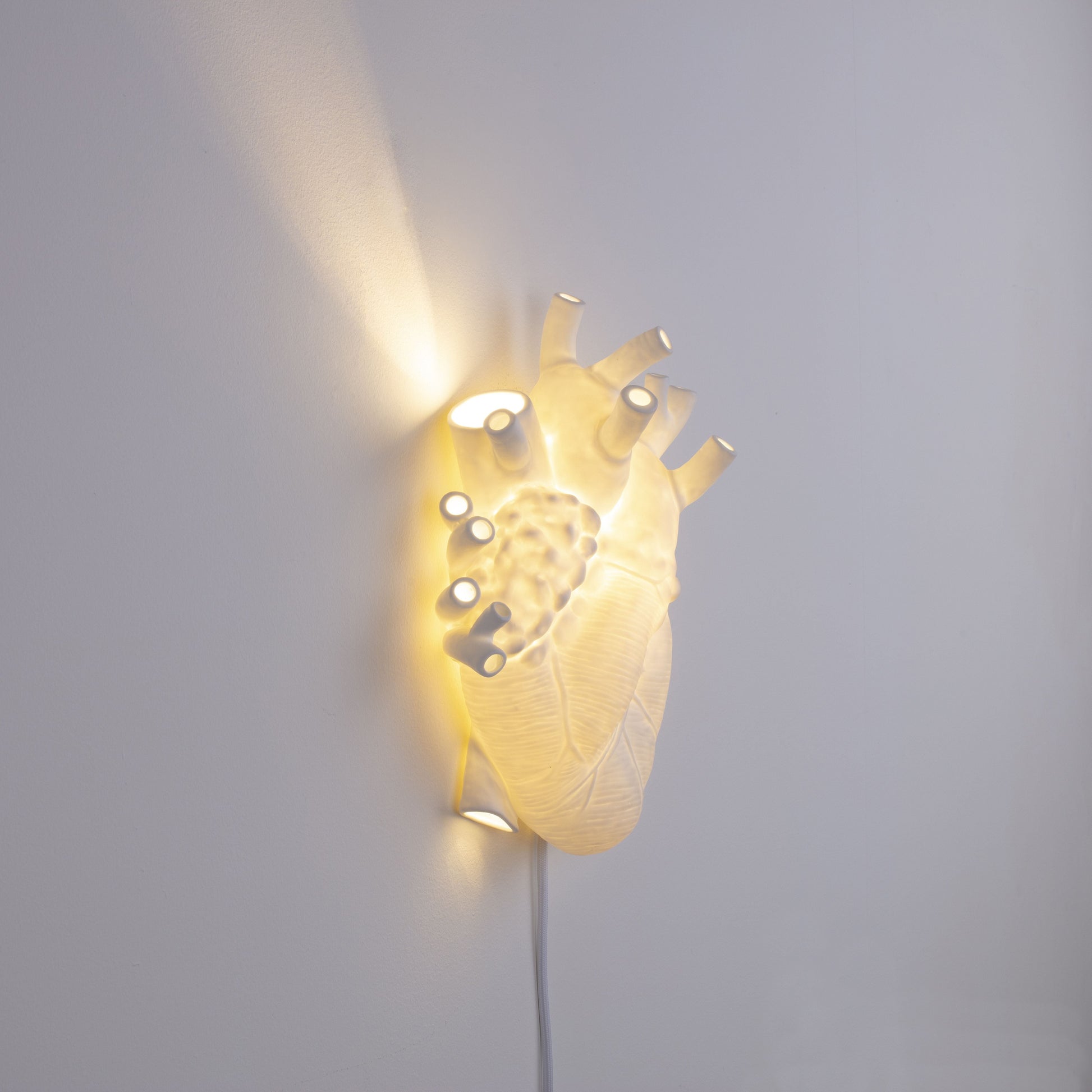 De Heart Lamp van Seletti is een echte eye-catcher in je interieur. Het witte porselein geeft een prachtige warme kleur wanneer de lamp aan is. Deze lamp is vormgegeven in de vorm van een anatomisch menselijk hart, en staat hiermee ook symbool voor romantiek.