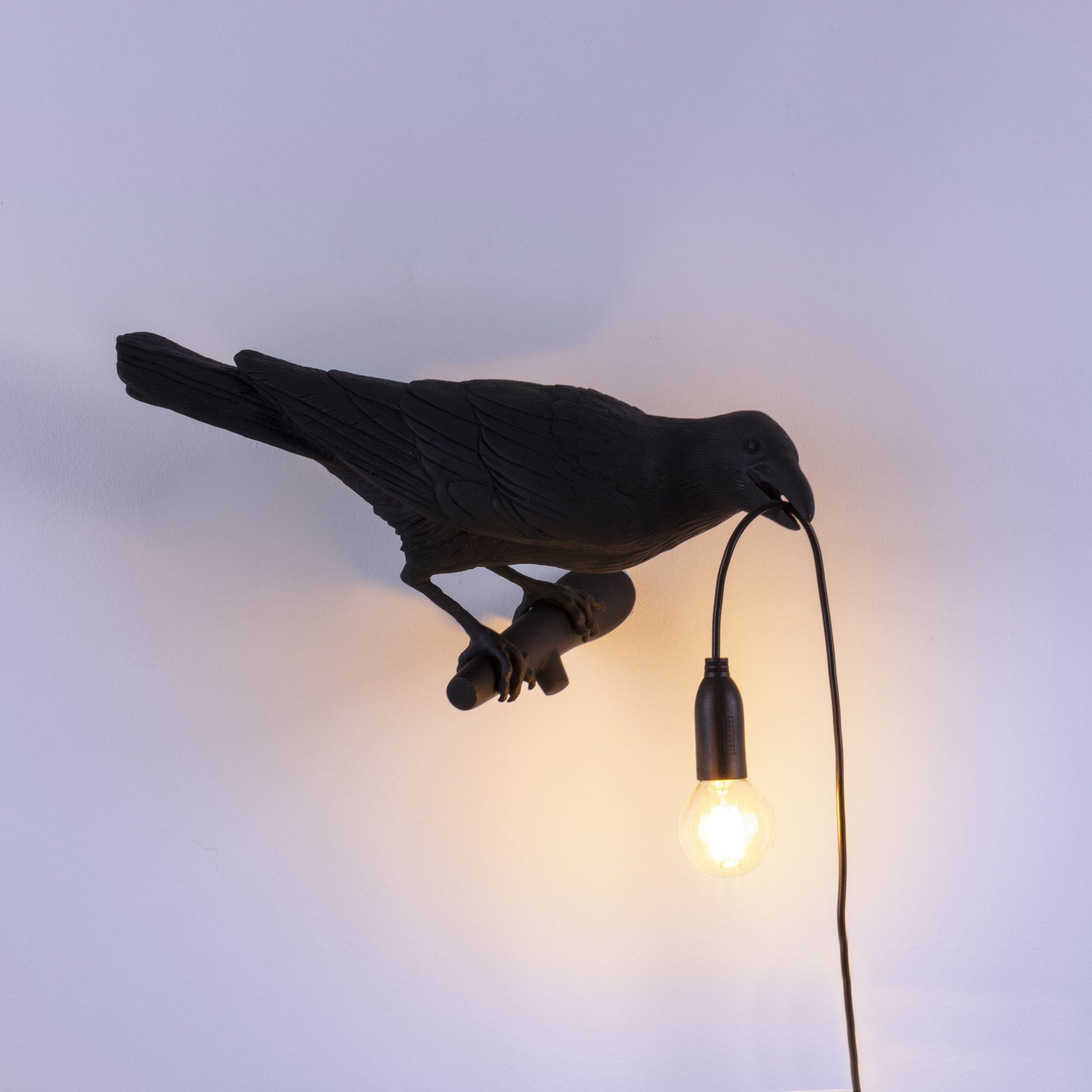 De Bird Lamp is een ontwerp van Marcantonio voor het Italiaanse merk Seletti. In sprookjes en films staat de kraai vaak symbool voor onheil. Maar deze vogels zijn je gevederde vriend en wijzen de weg in het donker. Verschillende versies, zowel indoor als outdoor.