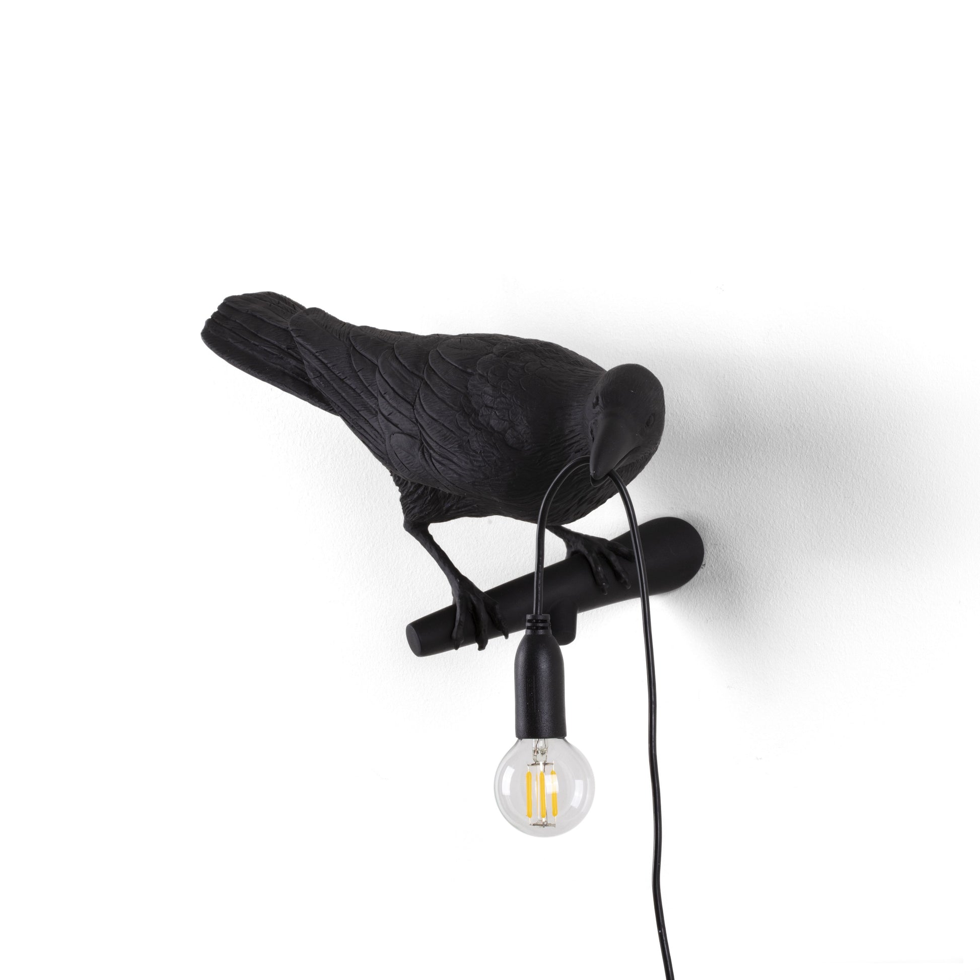 De Bird Lamp is een ontwerp van Marcantonio voor het Italiaanse merk Seletti. In sprookjes en films staat de kraai vaak symbool voor onheil. Maar deze vogels zijn je gevederde vriend en wijzen de weg in het donker. Verschillende versies, zowel indoor als outdoor.