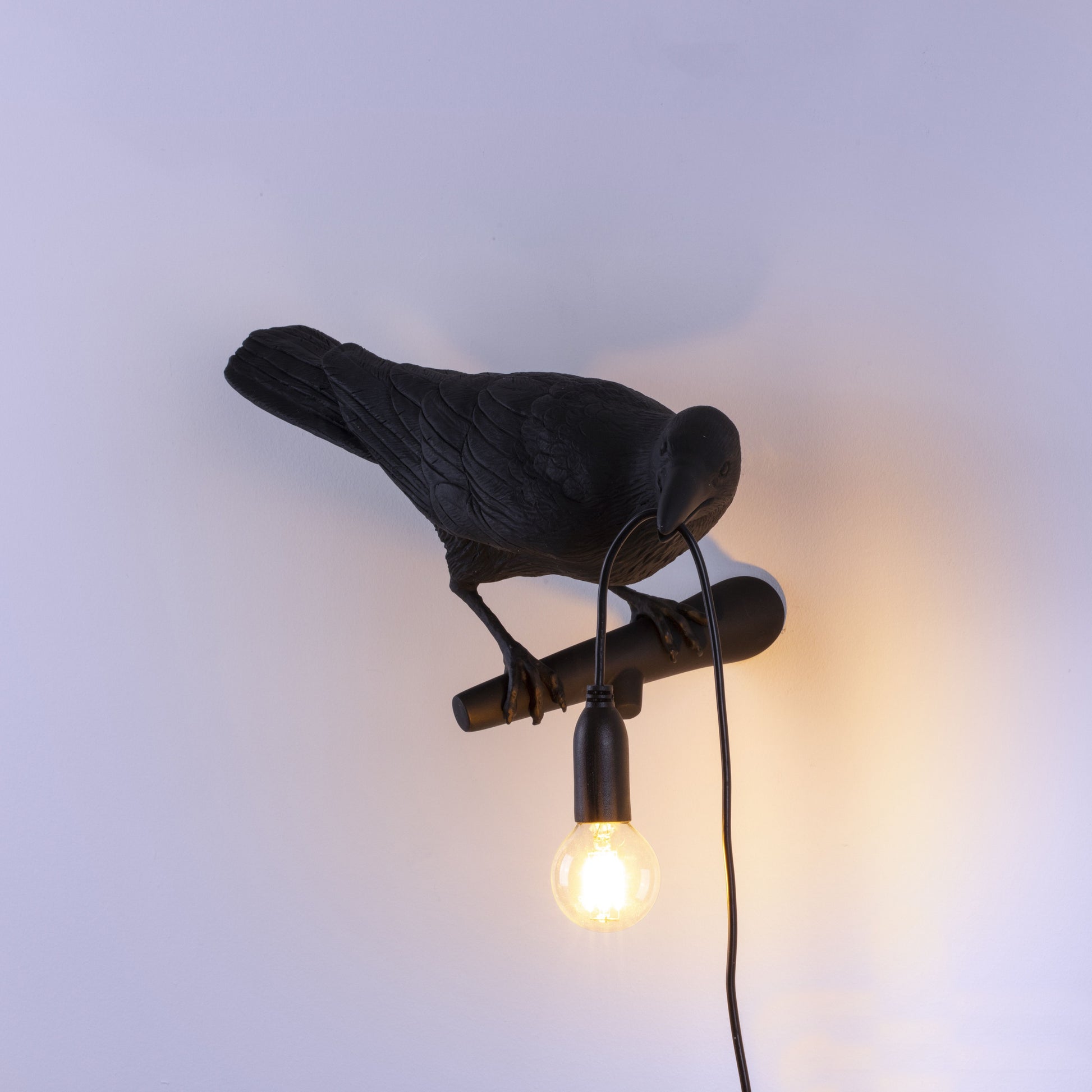 De Bird Lamp is een ontwerp van Marcantonio voor het Italiaanse merk Seletti. In sprookjes en films staat de kraai vaak symbool voor onheil. Maar deze vogels zijn je gevederde vriend en wijzen de weg in het donker. Verschillende versies, zowel indoor als outdoor.