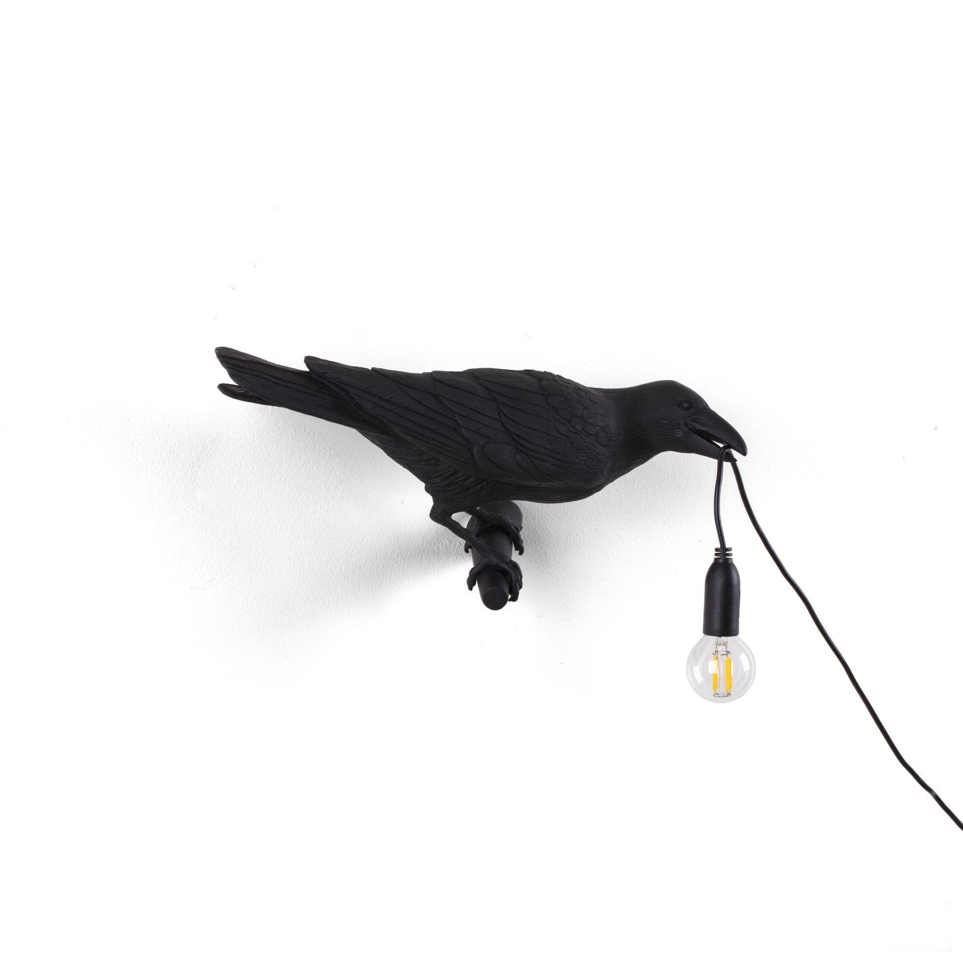 De Bird Lamp is een ontwerp van Marcantonio voor het Italiaanse merk Seletti. In sprookjes en films staat de kraai vaak symbool voor onheil. Maar deze vogels zijn je gevederde vriend en wijzen de weg in het donker. Verschillende versies, zowel indoor als outdoor.