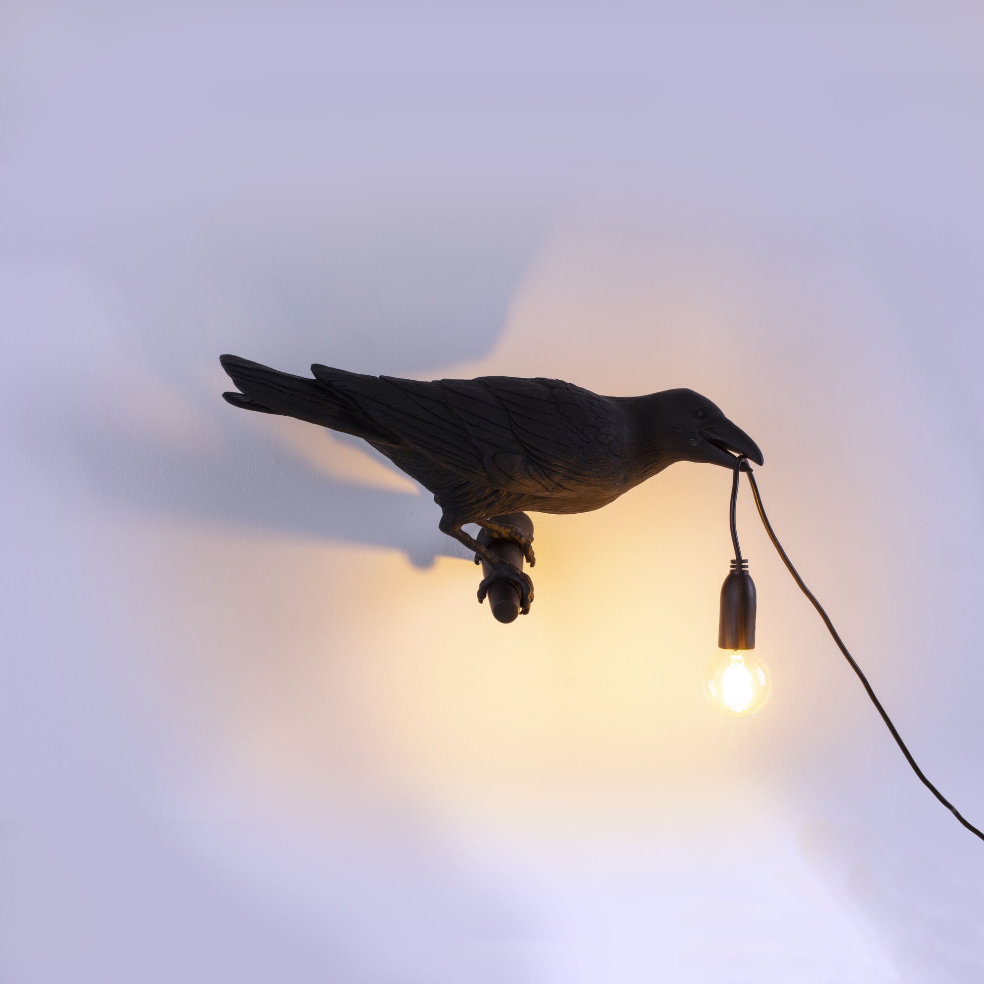 De Bird Lamp is een ontwerp van Marcantonio voor het Italiaanse merk Seletti. In sprookjes en films staat de kraai vaak symbool voor onheil. Maar deze vogels zijn je gevederde vriend en wijzen de weg in het donker. Verschillende versies, zowel indoor als outdoor.