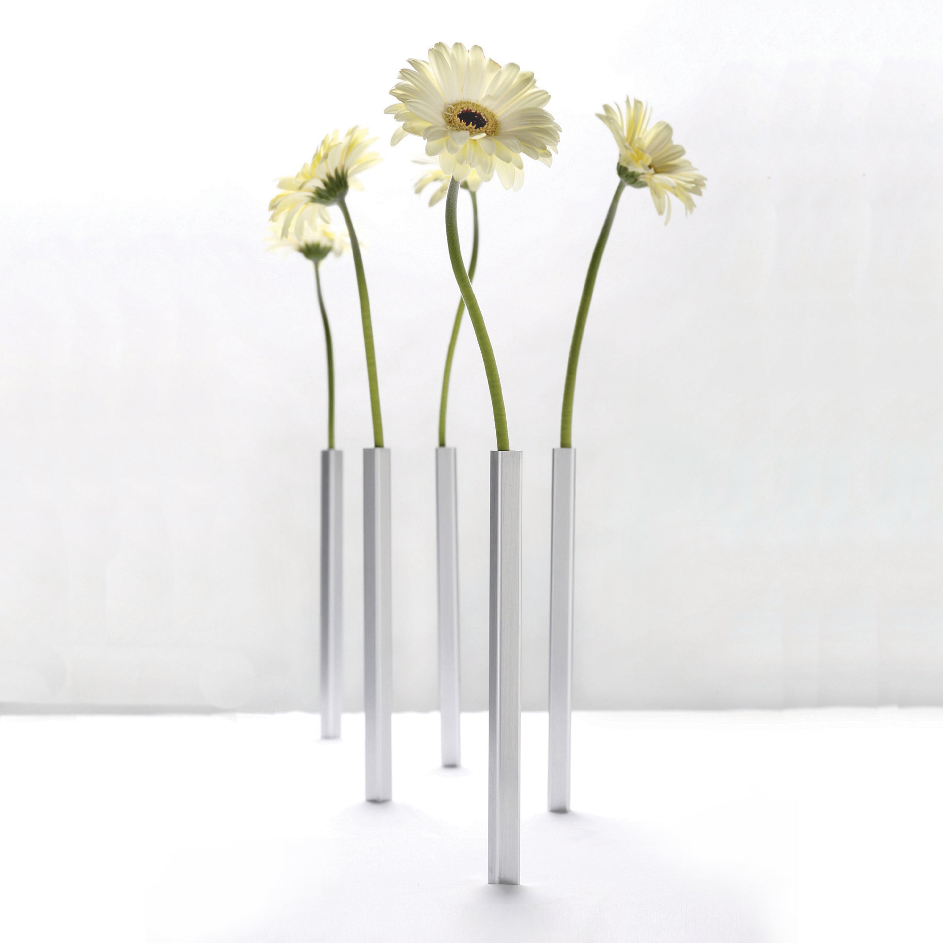 Magnetische Vaas Aluminium set van 5│art. PE543│met witte bloem