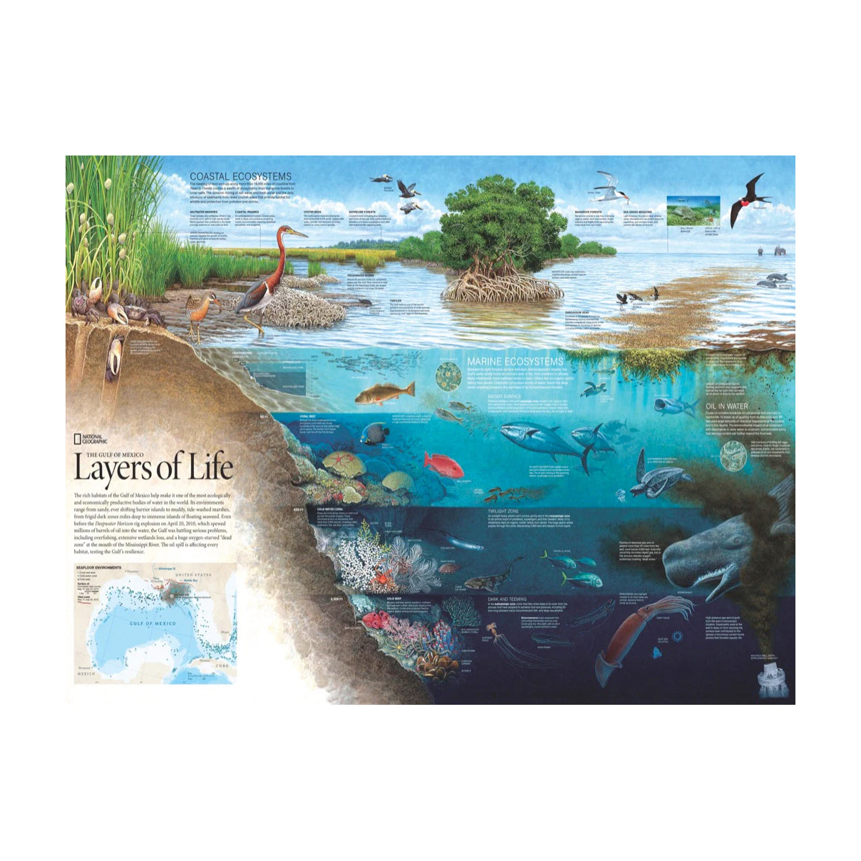 Puzzel National Geographic│Layers of Life 1000 stukjes│art. NPZNG1979│afbeelding puzzel