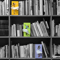 Tissue Up Girl Tissuebox│Groen│Retro Pin-Up zakdoekhouder│foto in boekenkast