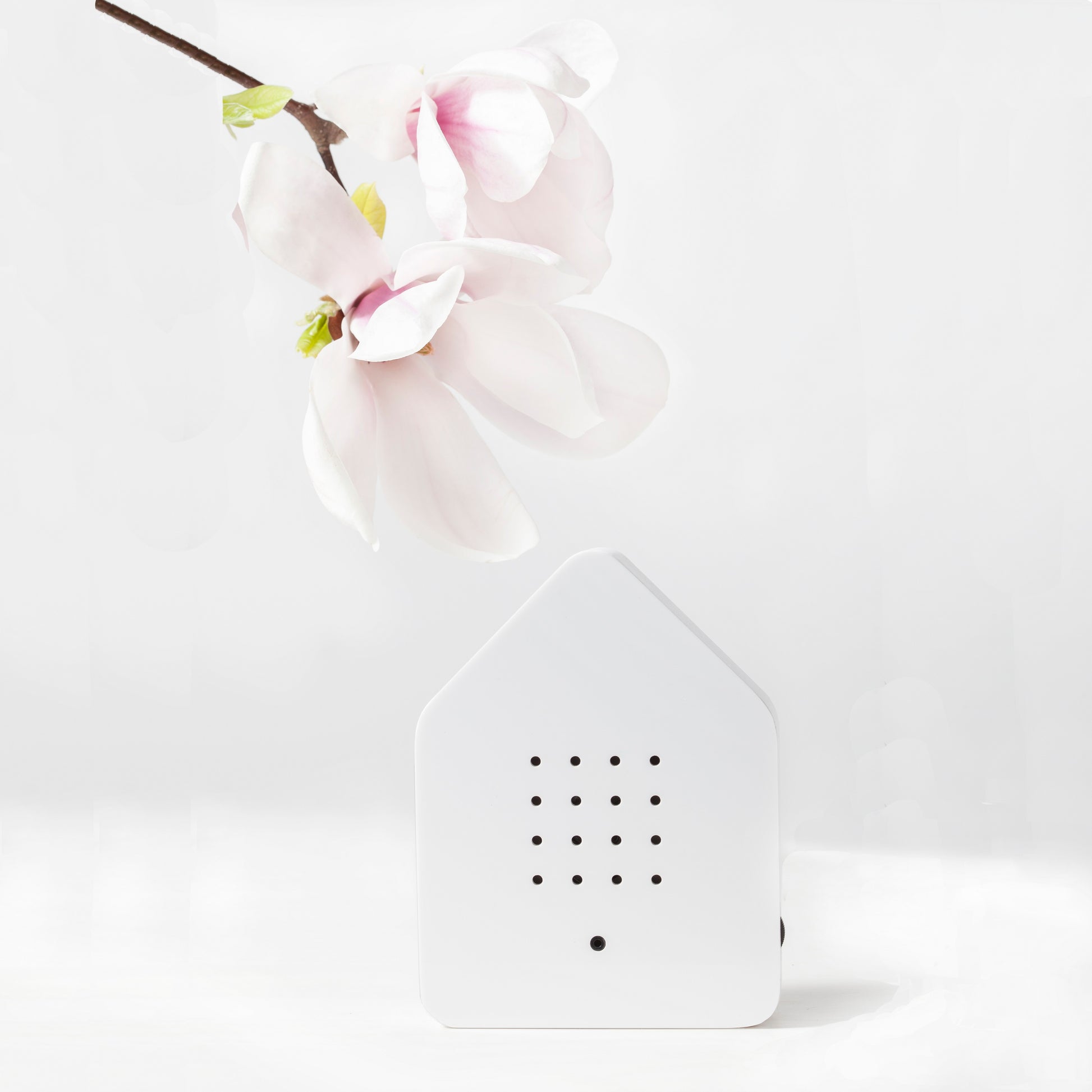 Zwitscherbox Classic Wit Huisje met Vogelgeluiden│Relaxound│art. 11ZBX0101001│met witte bloem