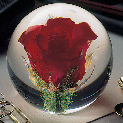 Red Rose Paperweight Large│Presse-Papier Rode Roos│Hafod Grange│op bureau naast paperclips