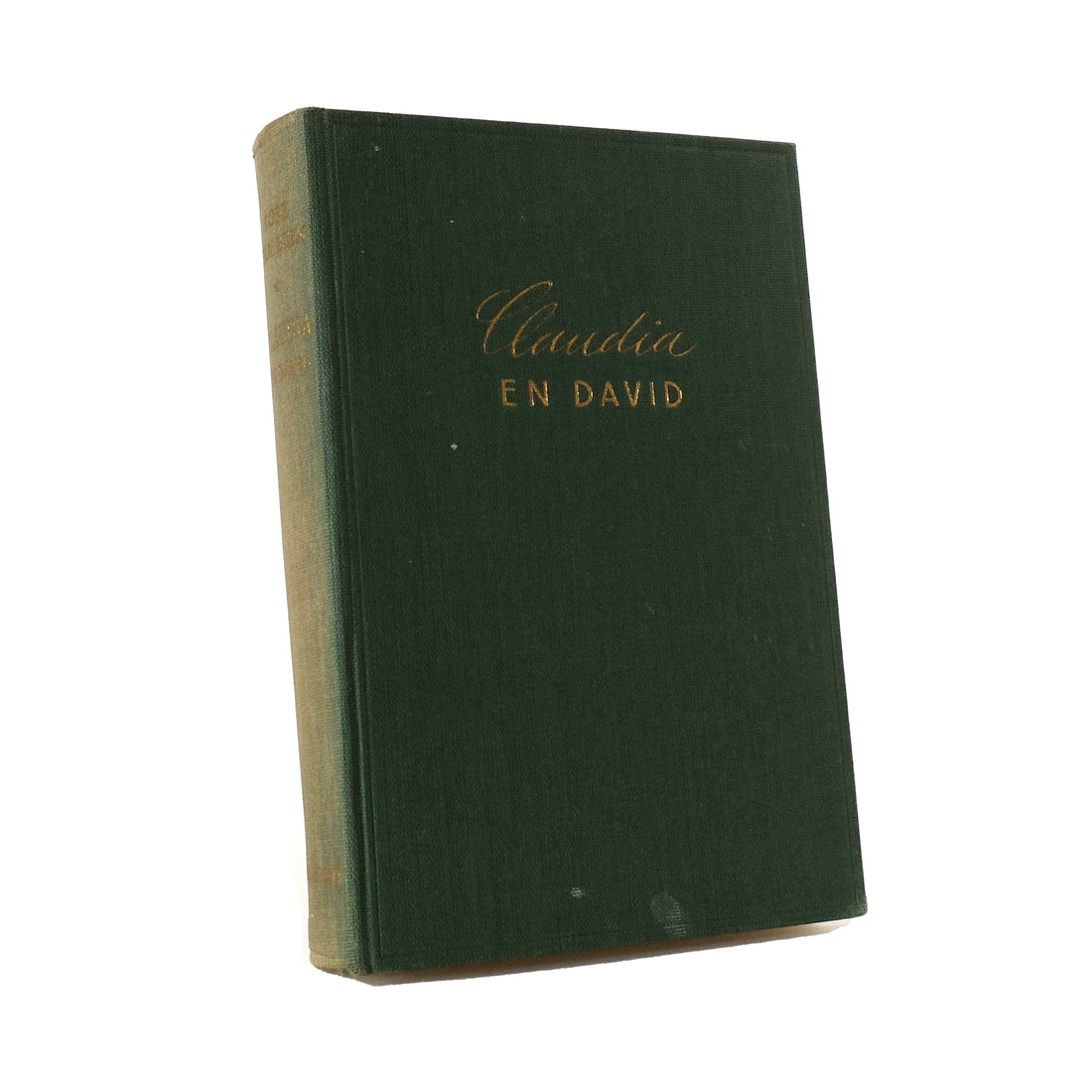 About Blanks notitieboek van de groene linnen kaft van Claudia en David van Rose Franken, vooraanzicht schuin