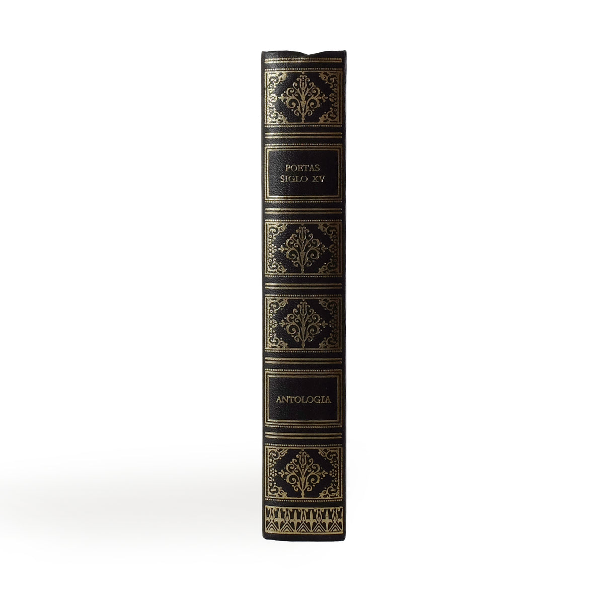 About Blanks notitieboek van de zwarte skai kaft van Poetas Siglo XV, zijkant rechtop staand