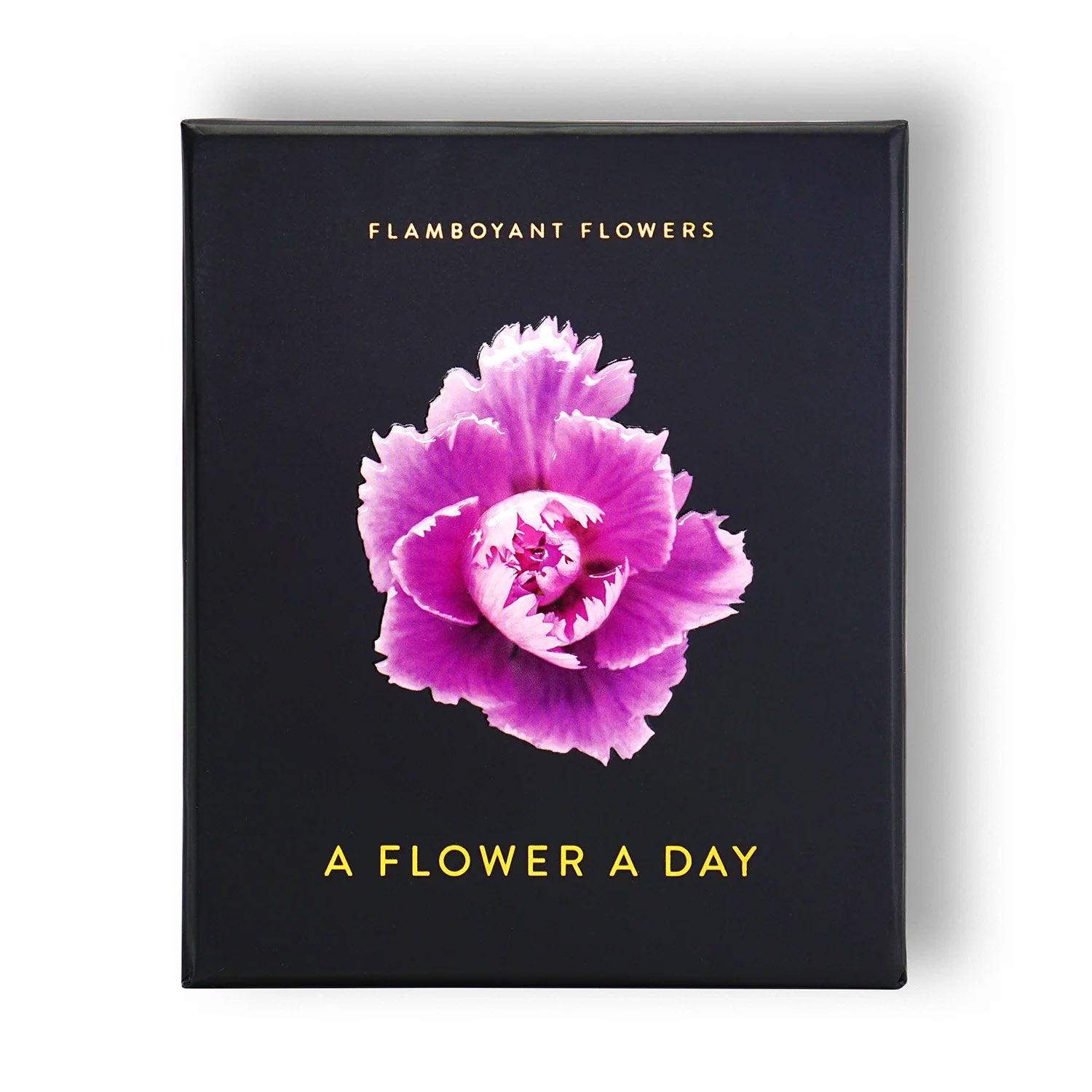 Bureaukalender Flamboyant Flowers│Bloemen│voorkant verpakking met witte achtergrond