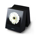 Bureaukalender Flamboyant Flowers│Bloemen│5 januari witte Gerbera