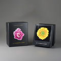 Bureaukalender Flamboyant Flowers│Bloemen│staand naast verpakking met schaduw