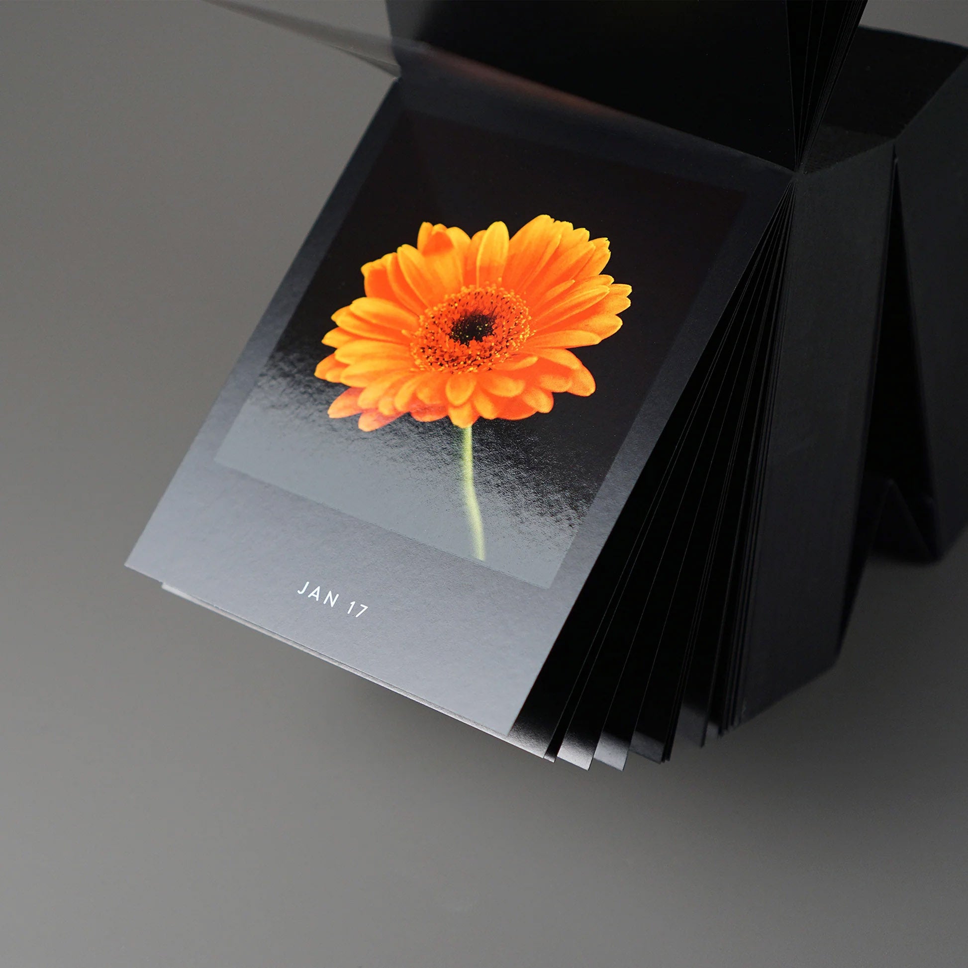 Bureaukalender Flamboyant Flowers│Bloemen│17 januari opgengeslagen