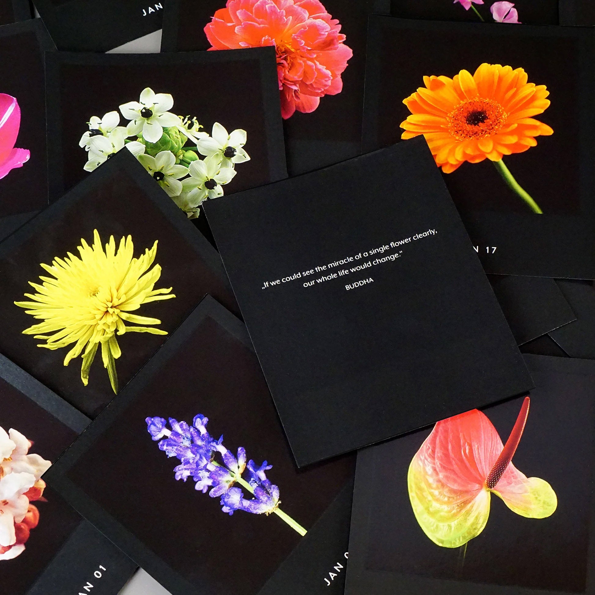 Bureaukalender Flamboyant Flowers│Bloemen│losse pagina's op elkaar liggend