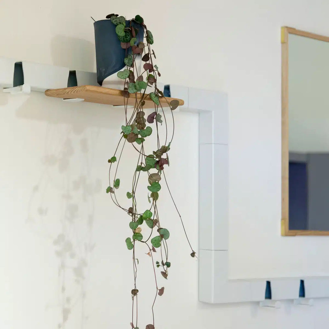 Coatrack by the Meter 50cm Zonder Haakjes Wit│Vij5│vooraanzicht met witte achtergrond
