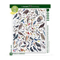 Puzzel The Cornell Lab of Ornitology│Birds of Eastern/Central North America│New York Puzzle Company│1000 pcs│art. NPZCB1836│voorkant recht