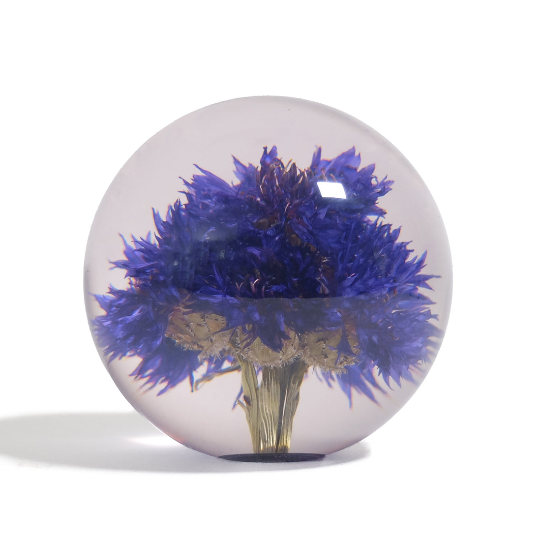 Cornflower Paperweight Hafod Grange│Korenbloem│vooraanzicht