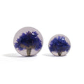 Cornflower Paperweight Hafod Grange│Korenbloem│grote en kleine versie naast elkaar