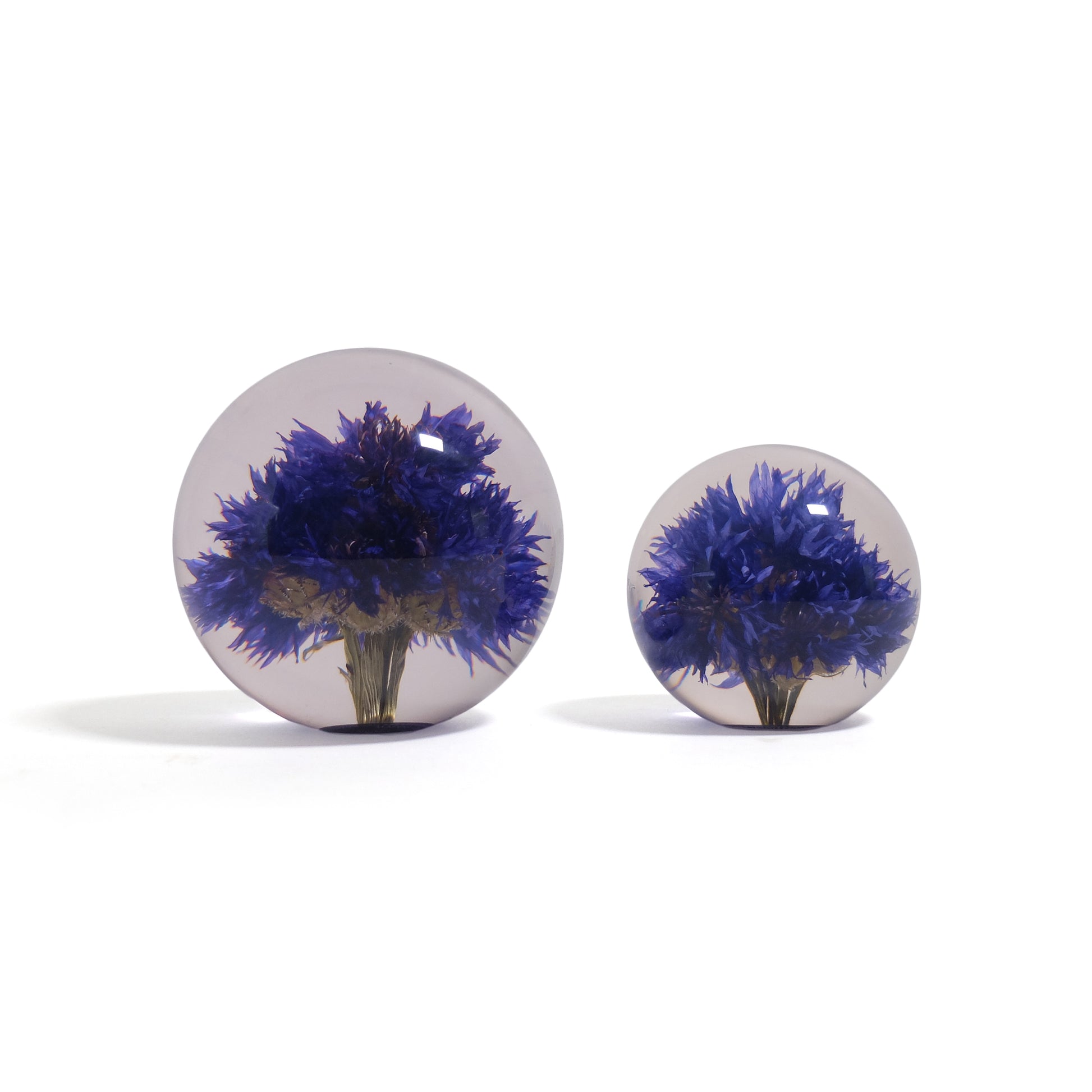 Cornflower Paperweight Hafod Grange│Korenbloem│grote en kleine versie naast elkaar